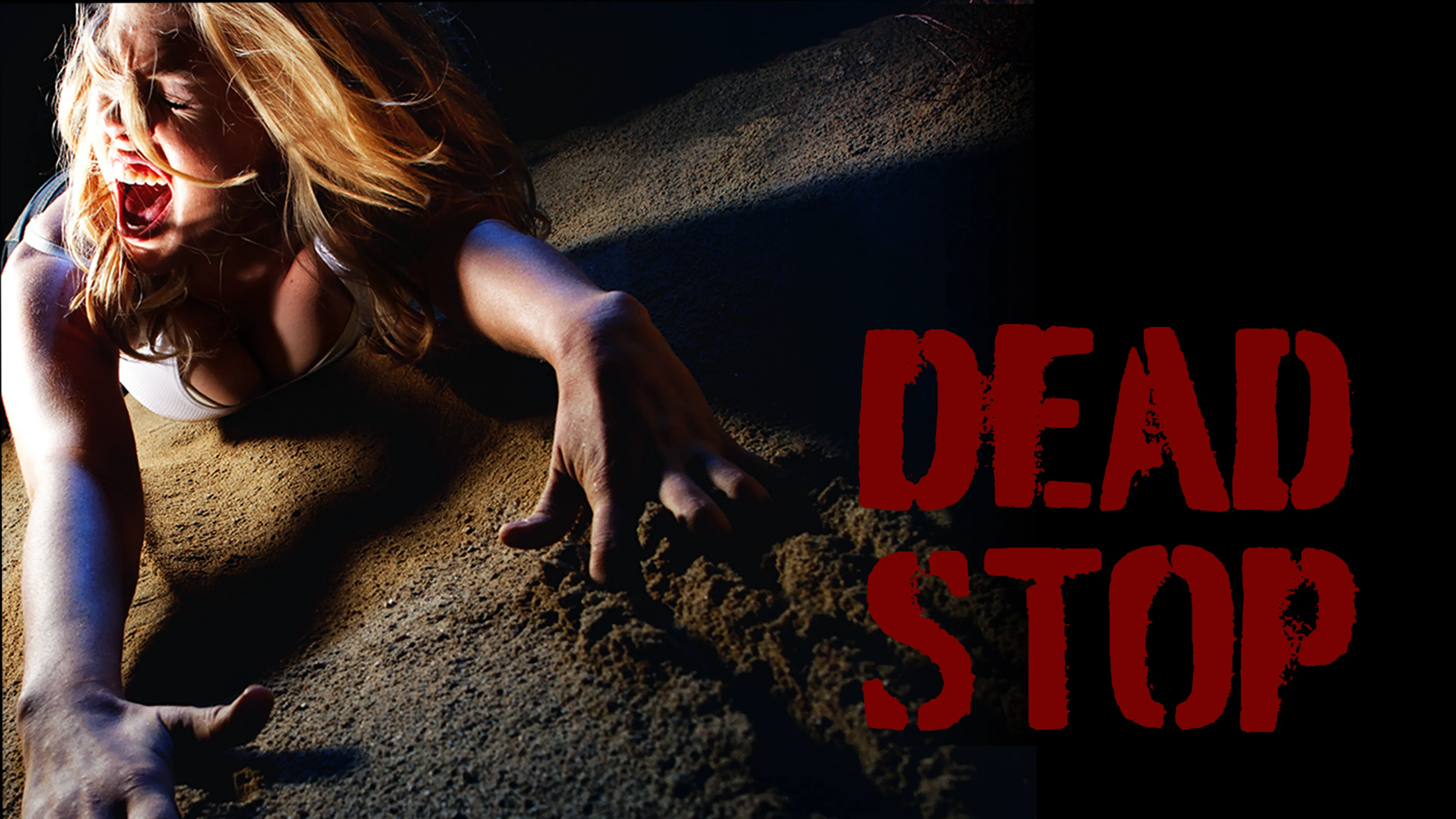 Dead Stop poster